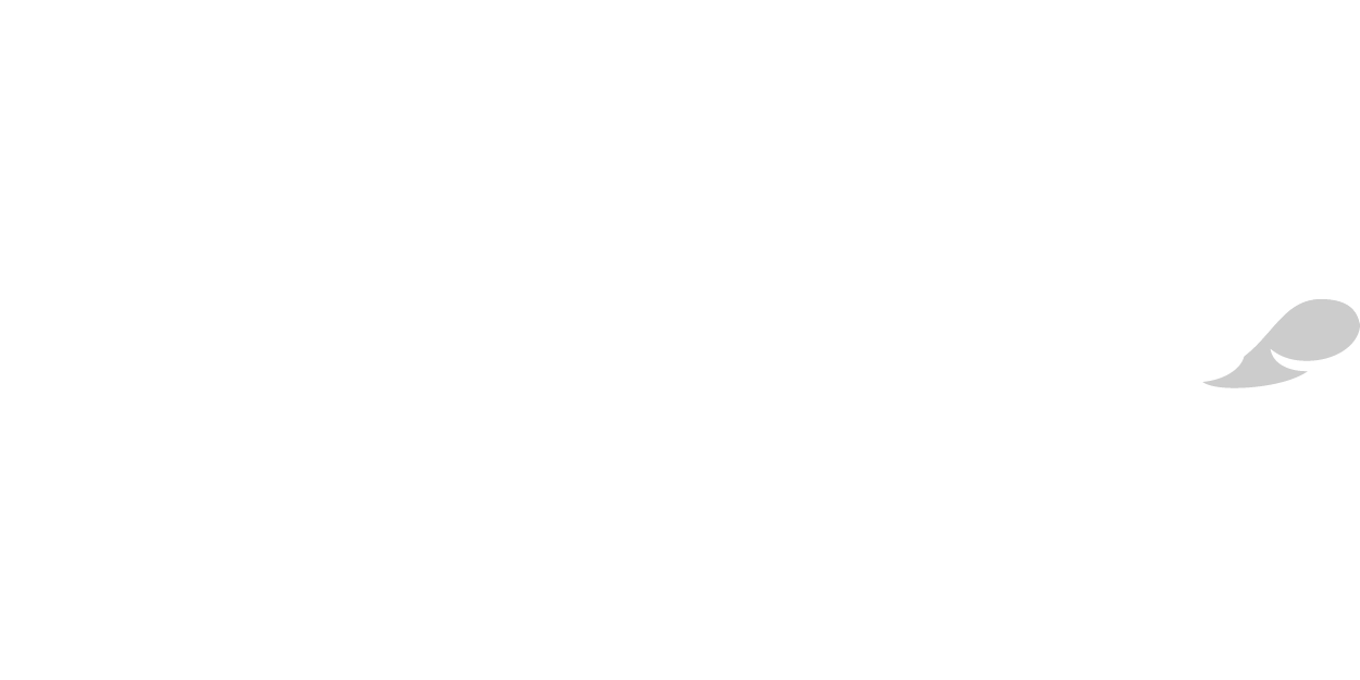 Capgemini, a Touchstone client