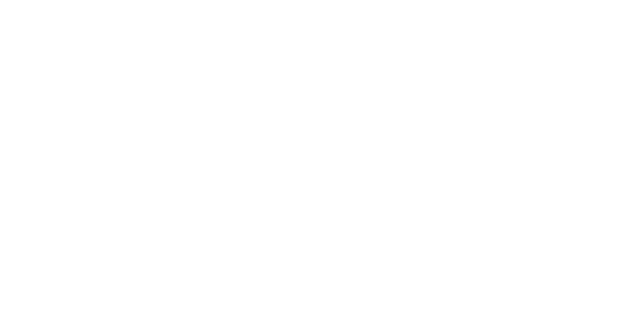Autoliv, a Touchstone client
